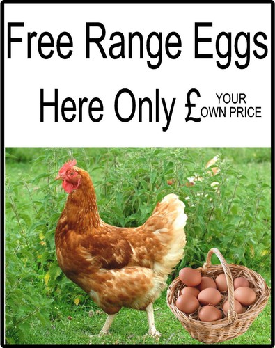 Uova pollo anatra - anatra, free