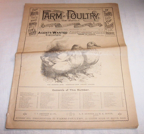 1895 farm poultry chickens - poultry,
