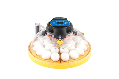 Incubatrice brinsea maxi ex - brinsea,