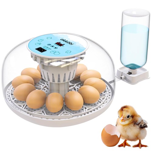 Incubatrice okköbi galline - okkÖbi,