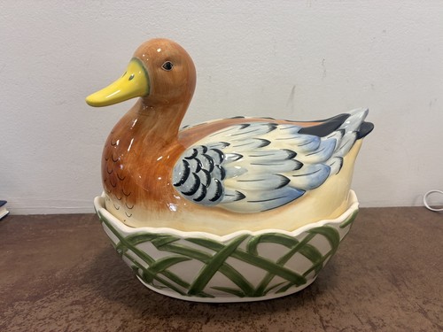 Fairmont main nesting duck - fairmont,